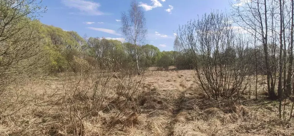 Участок в Московская область, Талдомский городской округ, с. Великий ... - Фото 0