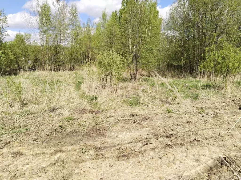 Участок в Московская область, Орехово-Зуевский городской округ, пос. ... - Фото 0