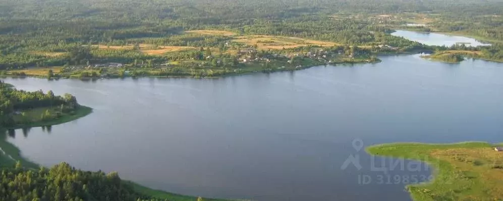 Участок в Новгородская область, Валдайский район, Костковское с/пос, ... - Фото 0