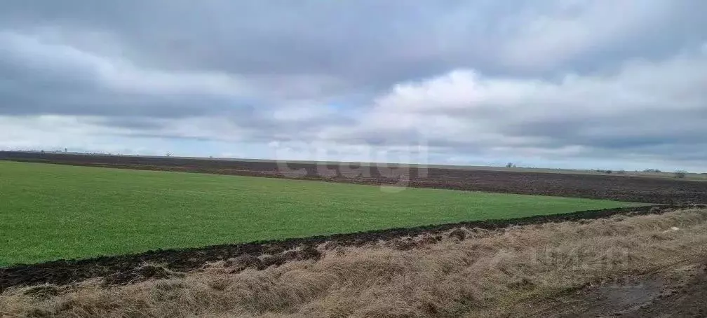 Участок в Крым, Кировский район, Первомайское с/пос, с. Первомайское ... - Фото 1