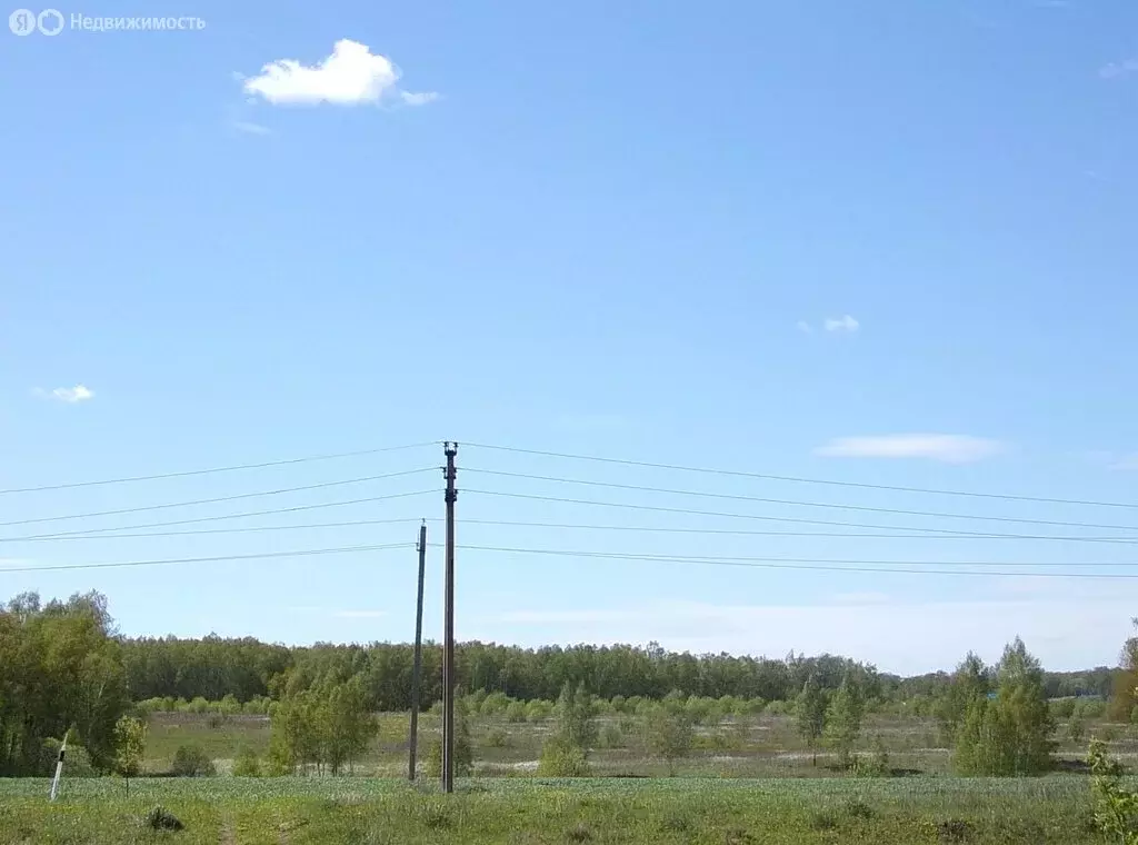 Участок в Московская область, городской округ Ступино, деревня Дубнево ... - Фото 1