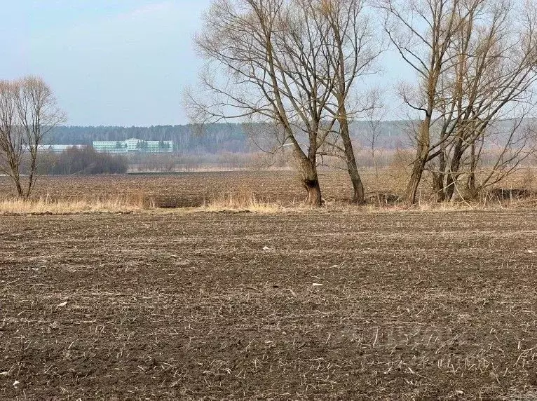 Участок в Московская область, Кашира городской округ, пос. Большое ... - Фото 0