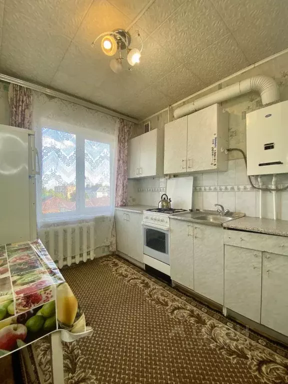 1-к кв. Тульская область, Ефремов ул. Ломоносова, 8 (30.9 м) - Фото 1