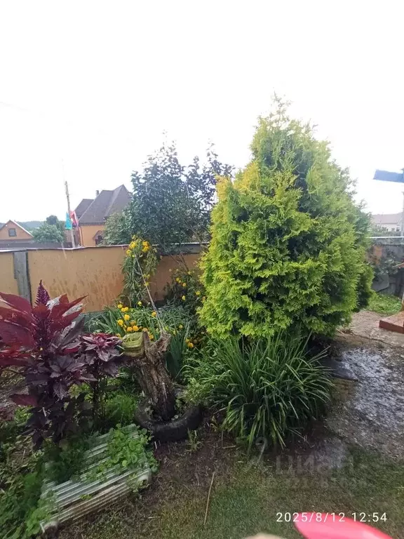 Участок в Рязанская область, Рязанский район, Семеновское с/пос, д. ... - Фото 1