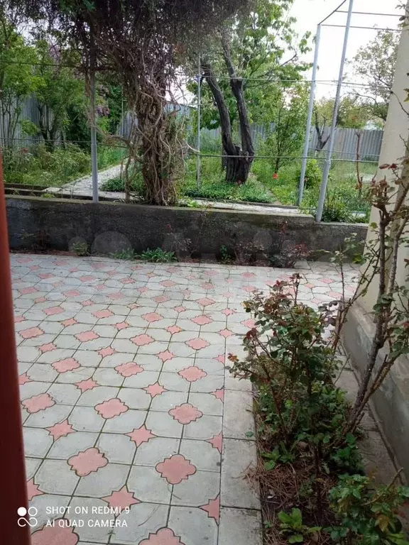 Дом 55 м на участке 8 сот. - Фото 1