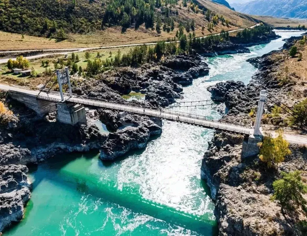 Участок в Алтай, Шебалинский район, с. Каспа  (99.0 сот.) - Фото 1