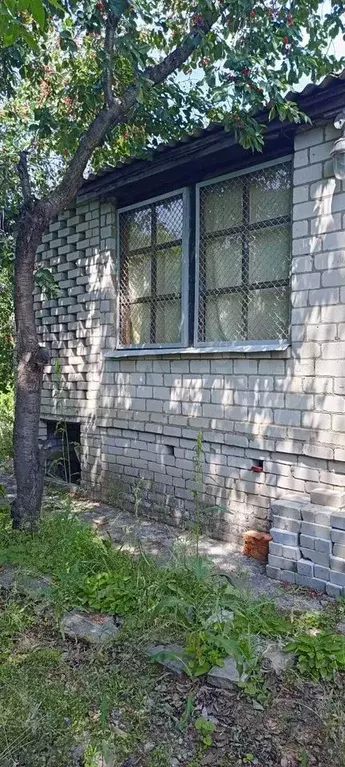 Дом 50 м на участке 6 сот. - Фото 1