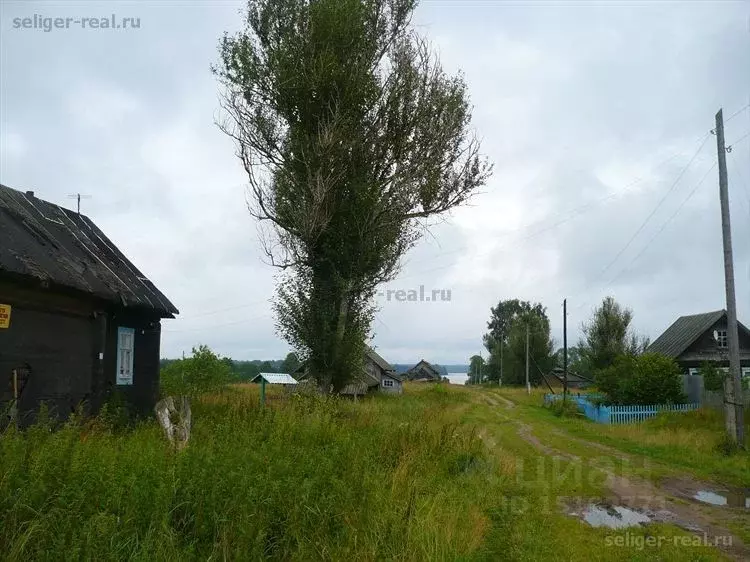 Дом в Тверская область, Осташковский городской округ, д. Пихтень  (30 ... - Фото 1