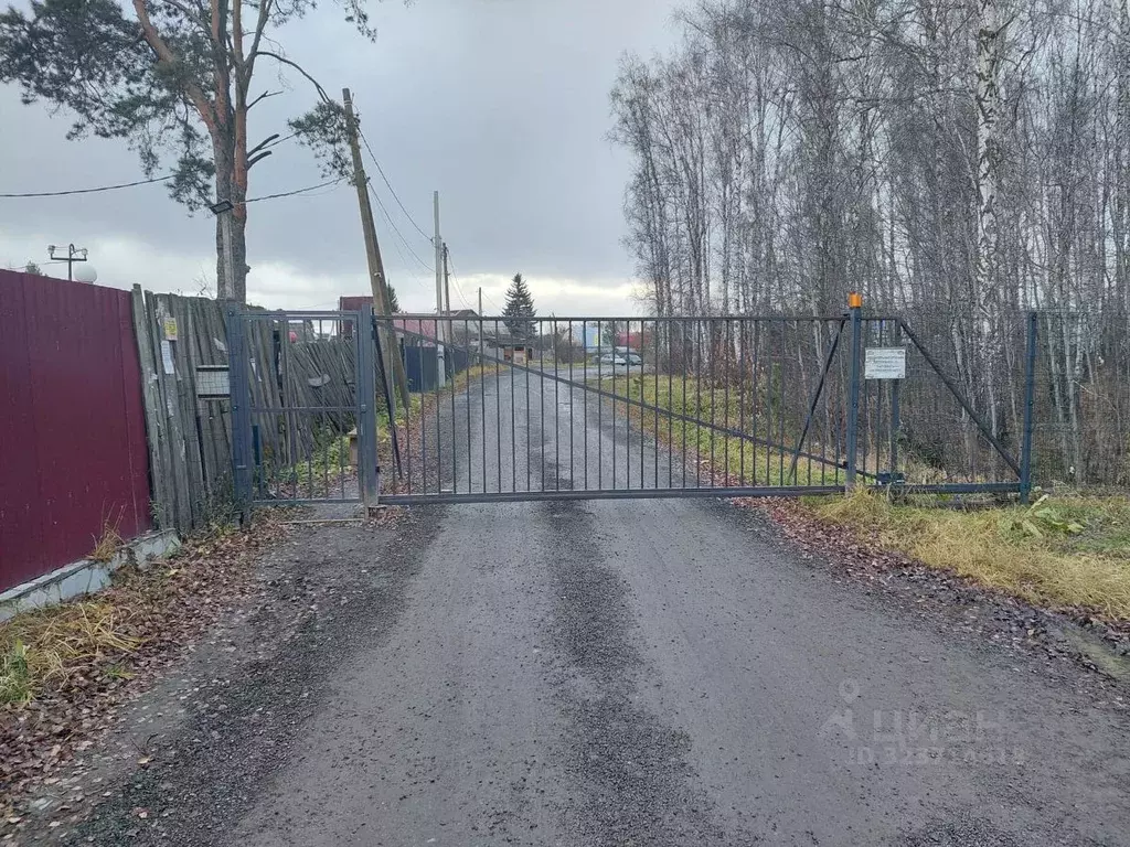 Дом в Свердловская область, Екатеринбург Дружба-10 СНТ, 736 (30 м) - Фото 2