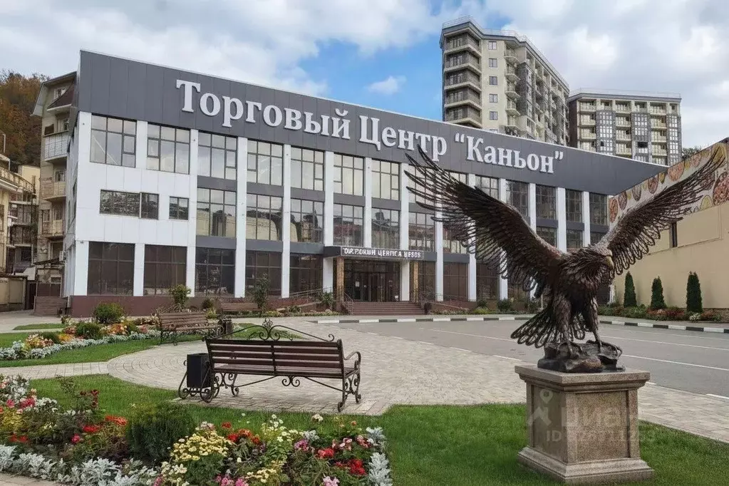 Офис в Краснодарский край, Сочи городской округ, Дагомыс пгт ш. ... - Фото 2