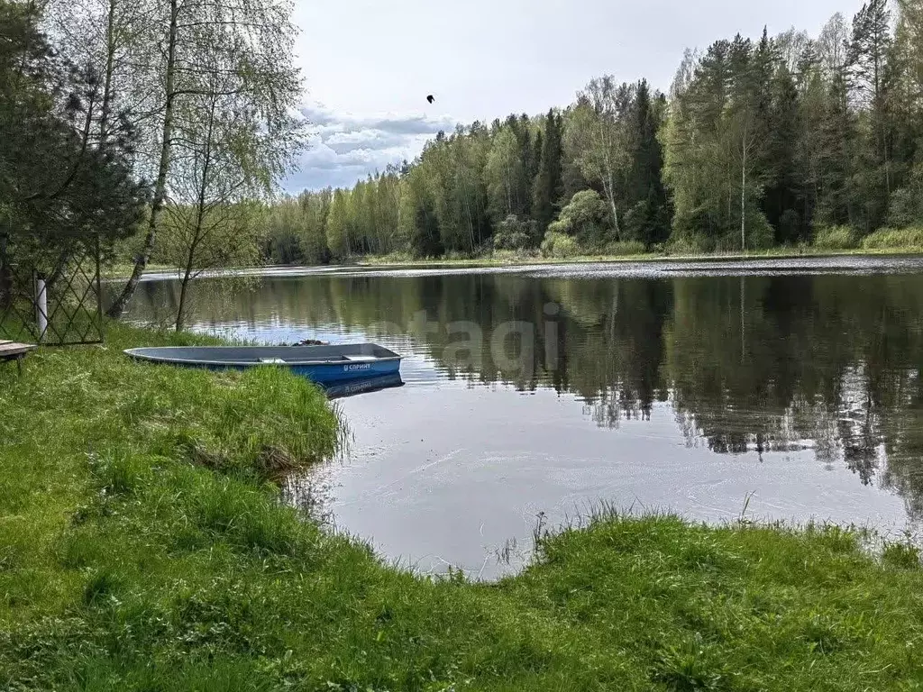 Участок в Ярославская область, Угличский муниципальный округ, д. ... - Фото 1