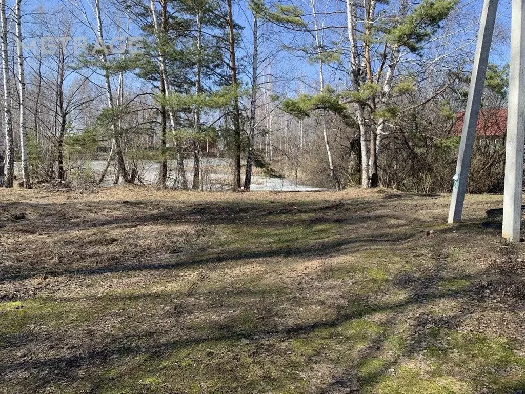 Участок в Новосибирская область, Новосибирск Кедр СНТ,  (4.2 сот.) - Фото 1