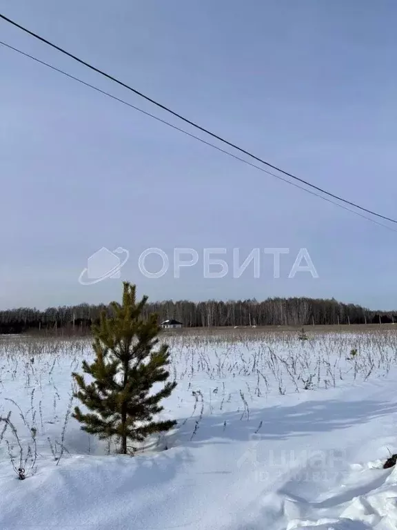 Участок в Тюменская область, Тюменский район, с. Кулига, Кулига-2 мкр  ... - Фото 1