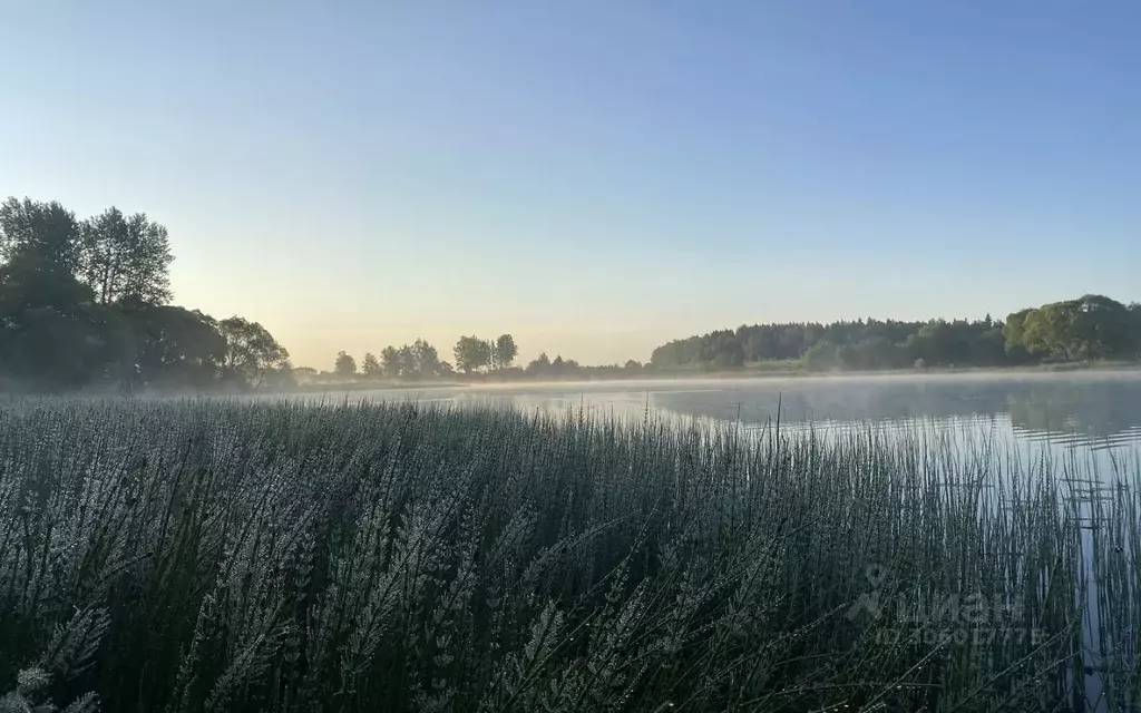 Участок в Московская область, Наро-Фоминский городской округ, д. ... - Фото 1