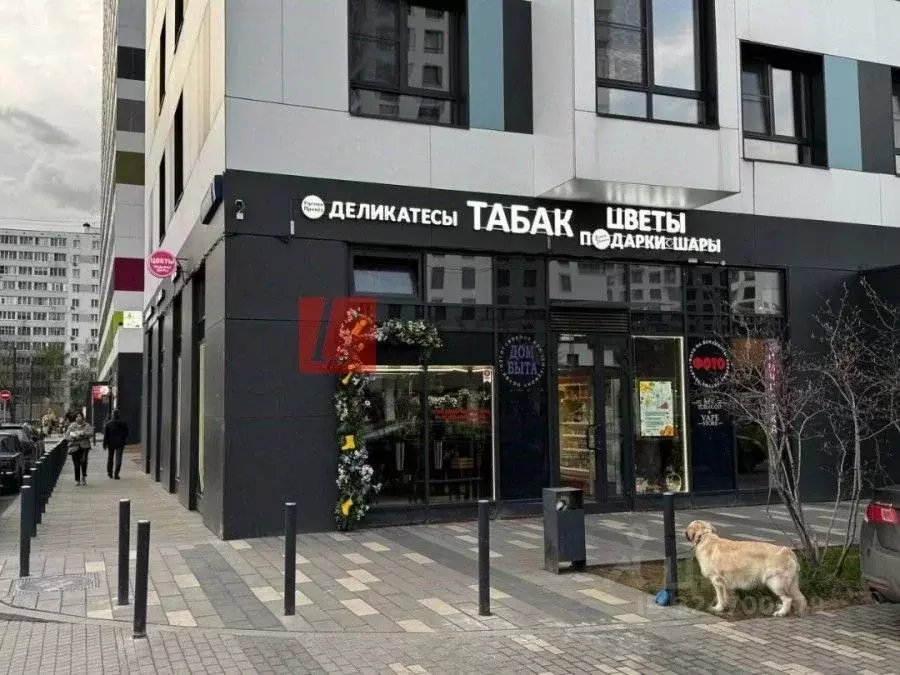 Торговая площадь в Москва Олонецкая ул., 4 (150 м) - Фото 1