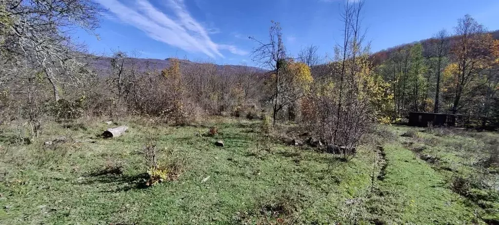 Участок в Адыгея, Майкопский район, Даховское с/пос, с. Хамышки ул. ... - Фото 1