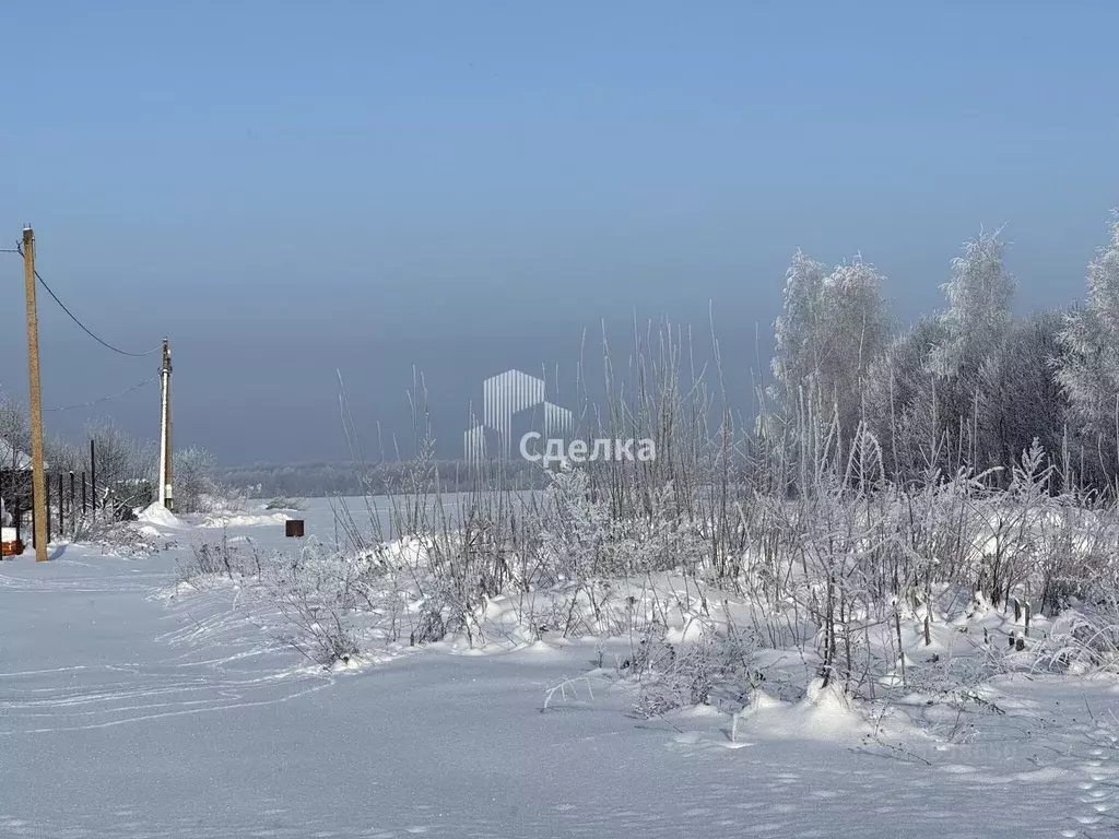 Участок в Московская область, Луховицы муниципальный округ, д. ... - Фото 2