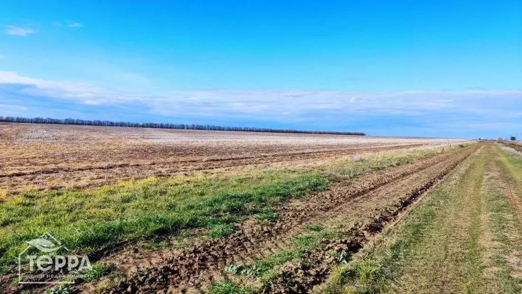 Участок в Крым, Сакский район, с. Суворовское ул. Солнечная, 8 (8.0 ... - Фото 0