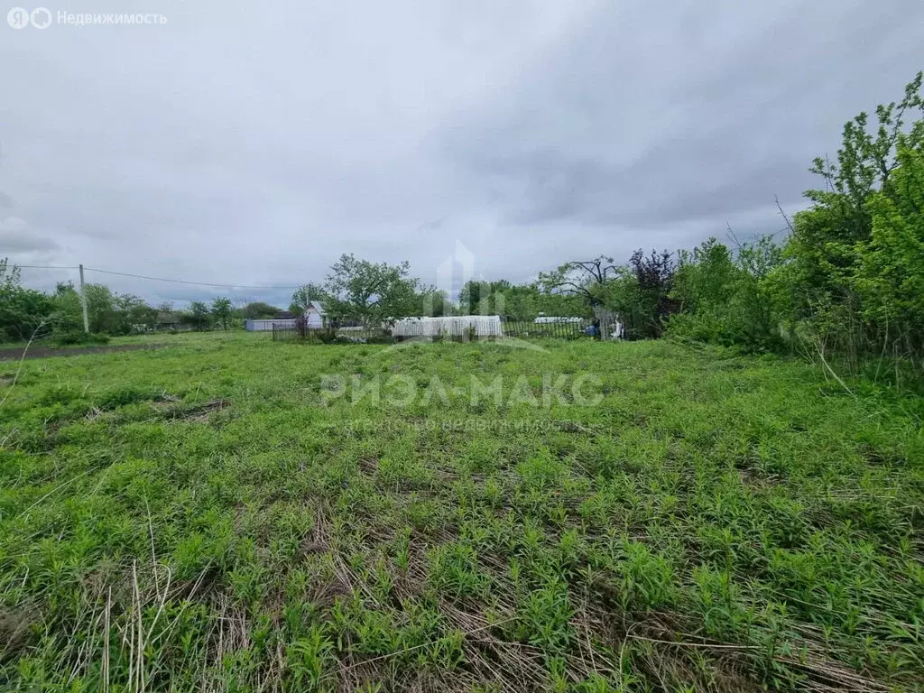 Участок в село Толмачево, СДТ Русь (5 м) - Фото 1