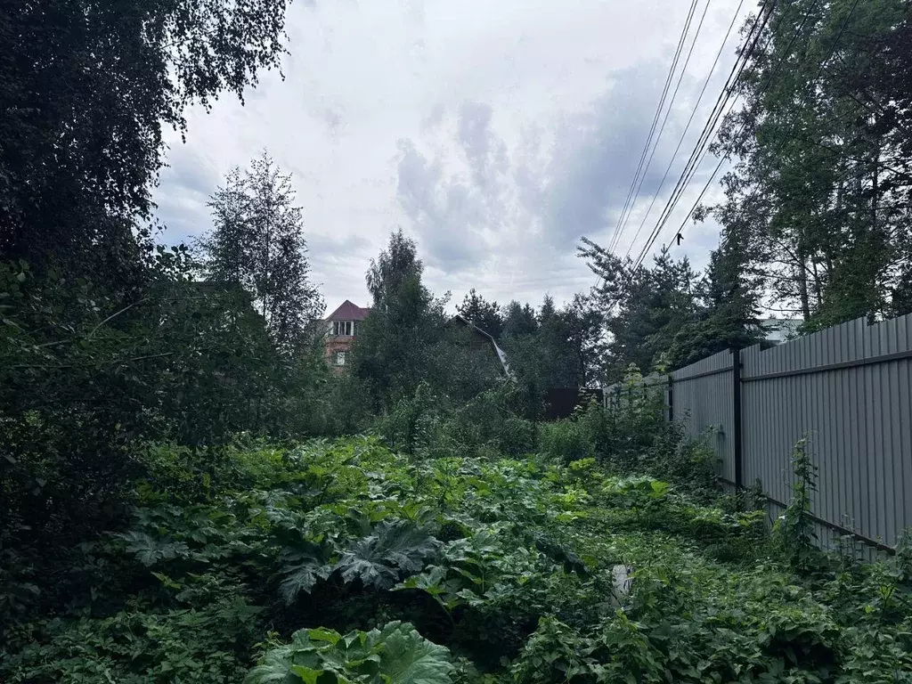 Участок, 11 сот., поселения (ижс) - Фото 1