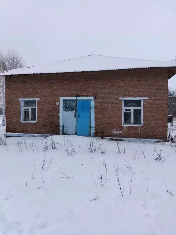 Помещение свободного назначения в Алтайский край, Новоалтайск пос. ... - Фото 2