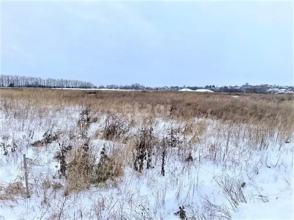 Участок в Московская область, Дмитровский городской округ, д. ... - Фото 0