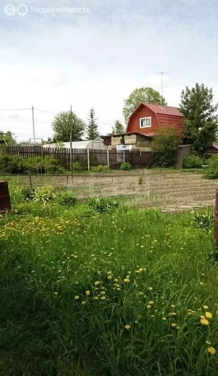 Участок в Новосибирск, СТ Берёзовая Роща (5.7 м) - Фото 1
