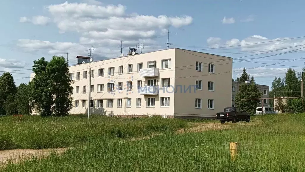 2-к кв. Нижегородская область, Бор муниципальный округ, с. Чистое Поле ... - Фото 0