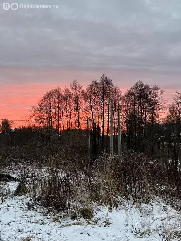 Дом в село Ново-Талицы, 1-я Яковлевская улица, 9 (96 м) - Фото 1