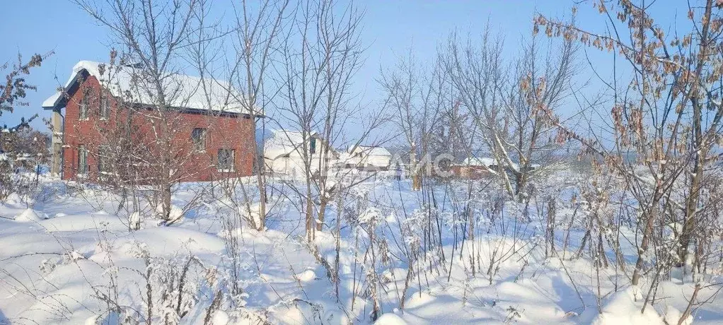 Участок в Нижегородская область, Богородский муниципальный округ, с. ... - Фото 1