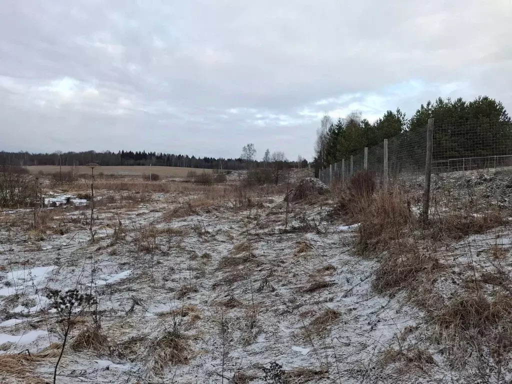 Участок в Московская область, Пушкинский городской округ, д. ... - Фото 0