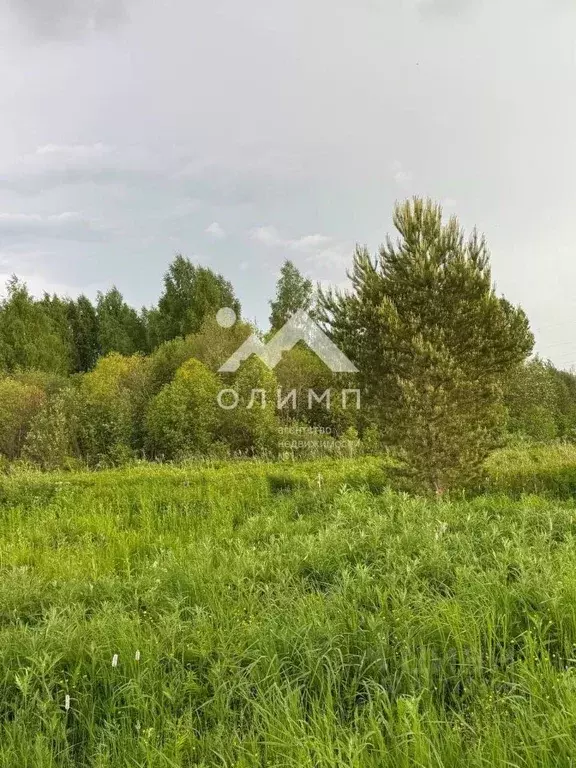 Участок в Вологодская область, Кирилловский муниципальный округ ул. ... - Фото 1