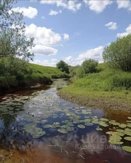 Дом в Пермский край, Краснокамский городской округ, с. Усть-Сыны ул. ... - Фото 1