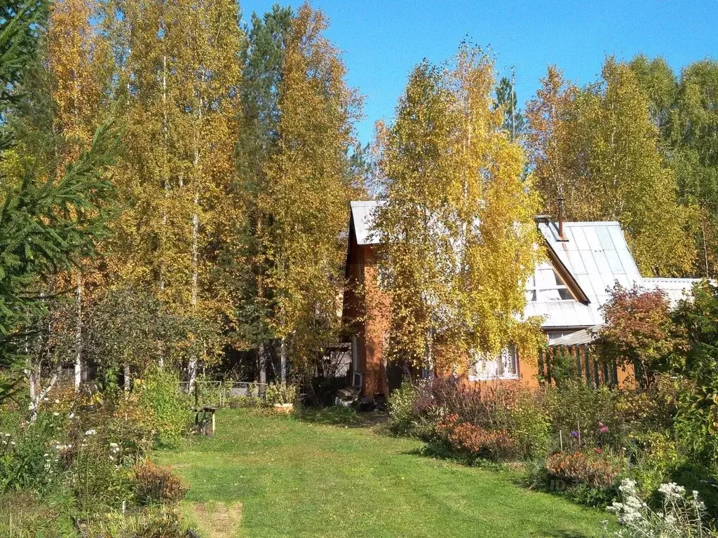 Дом в Свердловская область, Екатеринбург Строймаш КС, 60 (50 м) - Фото 1