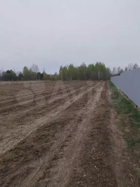 Участок 30 сот. (ИЖС) - Фото 1