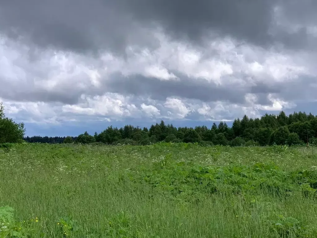 Участок в Московская область, Истра муниципальный округ, д. Деньково  ... - Фото 1