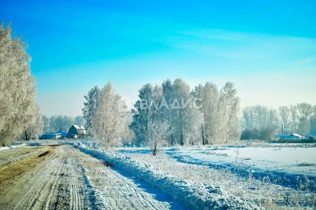 Участок в Пермский край, д. Глушата ул. Центральная (12.74 сот.) - Фото 0