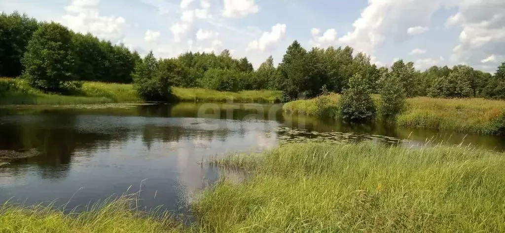 Участок в Владимирская область, Судогодский район, Муромцевское ... - Фото 1