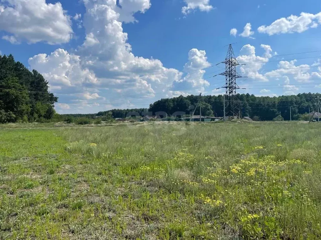 Участок в Белгородская область, Старооскольский городской округ, с. ... - Фото 0