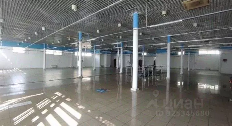 Торговая площадь в Санкт-Петербург просп. Культуры, 20 (300 м) - Фото 2