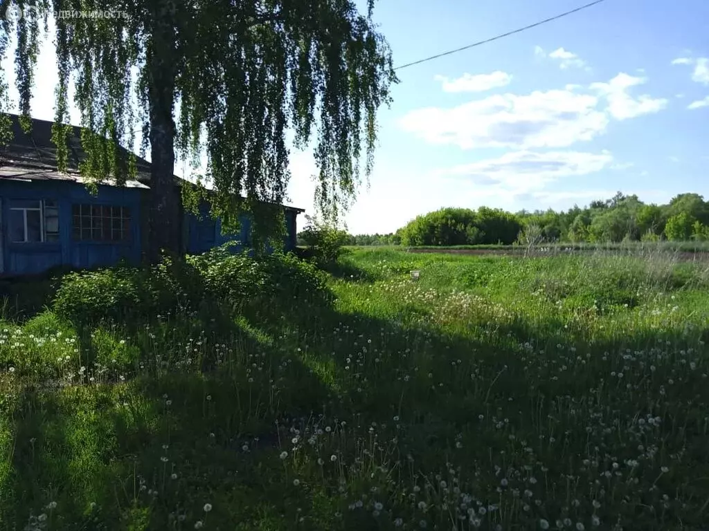Дом в село Телелюй, Кооперативная улица, 10 (27 м) - Фото 1