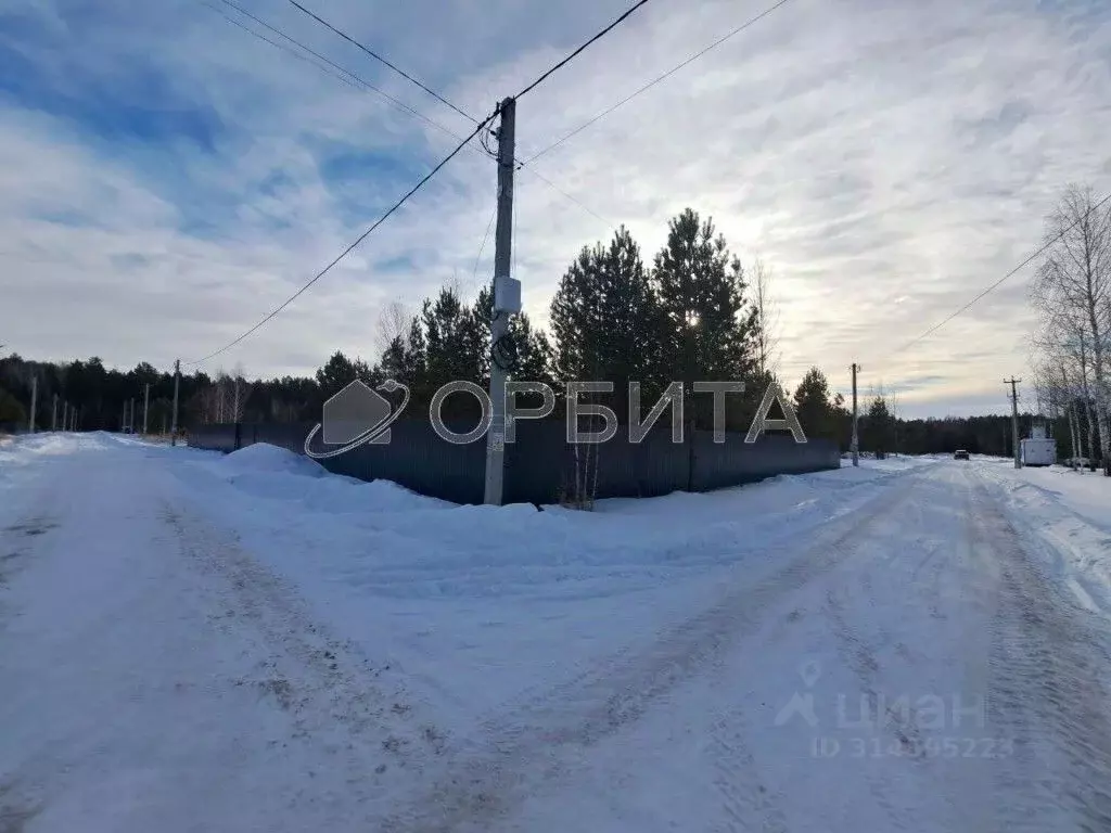 Участок в Тюменская область, Нижнетавдинский район, Березка СНТ  (9.75 ... - Фото 1