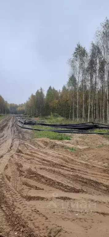 Участок в Тверская область, Конаковский муниципальный округ, Волжские ... - Фото 2