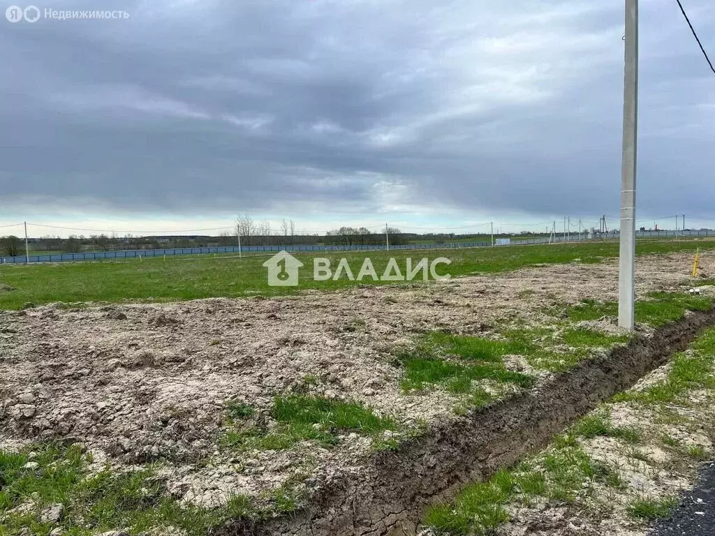 Участок в Аннинское городское поселение, территория Капорские дачи ... - Фото 1