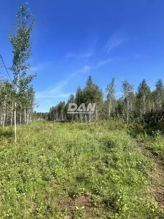 Участок в Челябинская область, Сосновский муниципальный округ, с. ... - Фото 1