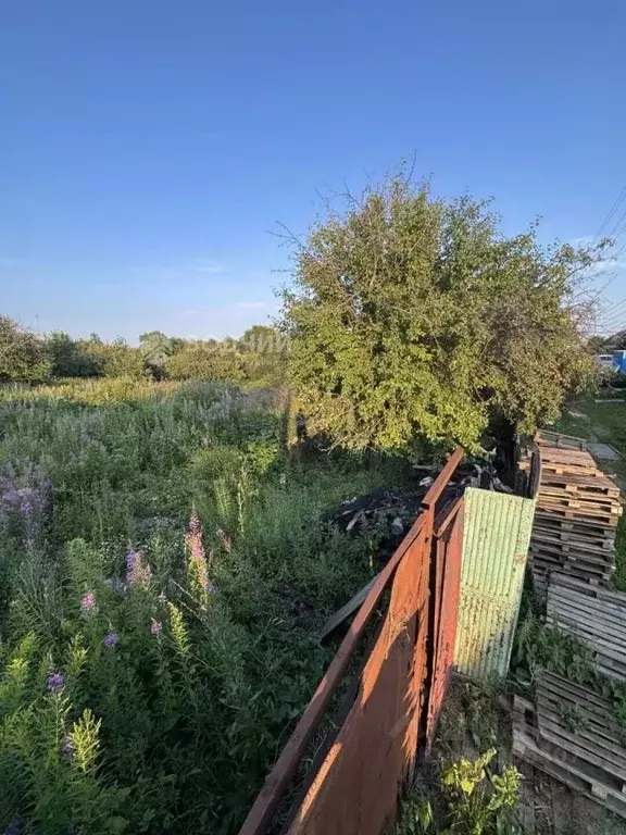 Участок в Чувашия, Канаш Ленинградская ул., 43 (17.49 сот.) - Фото 2