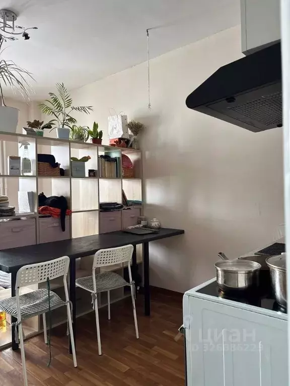 Студия Красноярский край, Красноярск ул. Борисова, 42 (23.0 м) - Фото 1