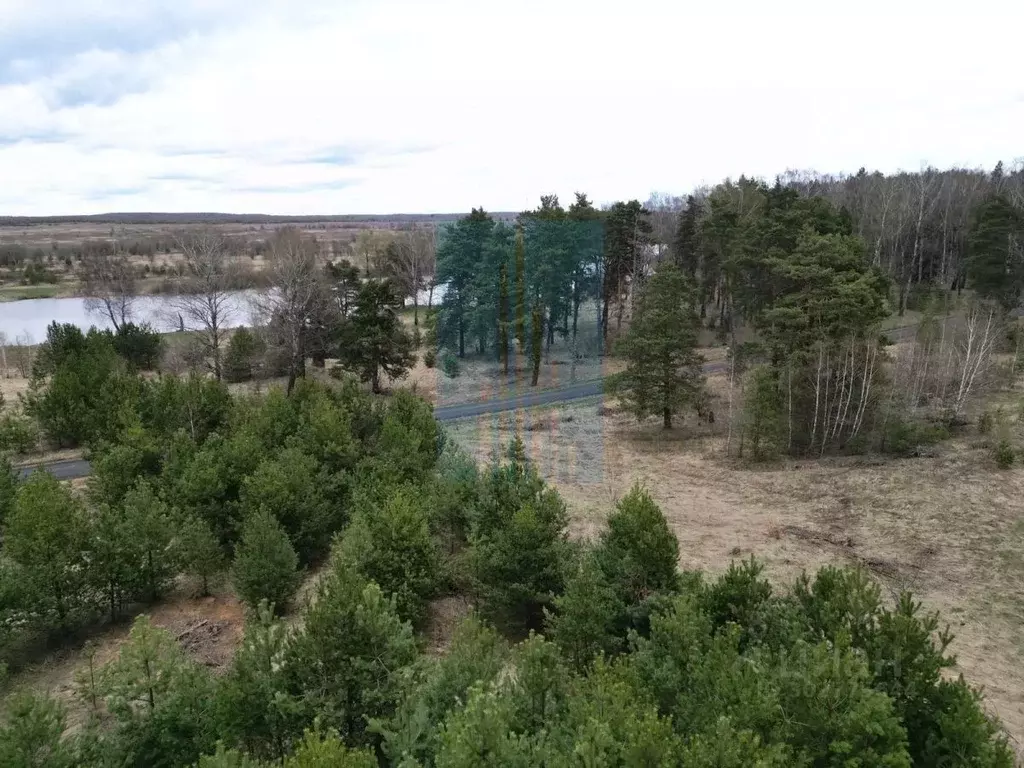 Участок в Московская область, Ступино городской округ, с. Ивановское ... - Фото 0