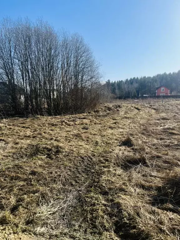 Участок в Ленинградская область, Гатчинский муниципальный округ, д. ... - Фото 2