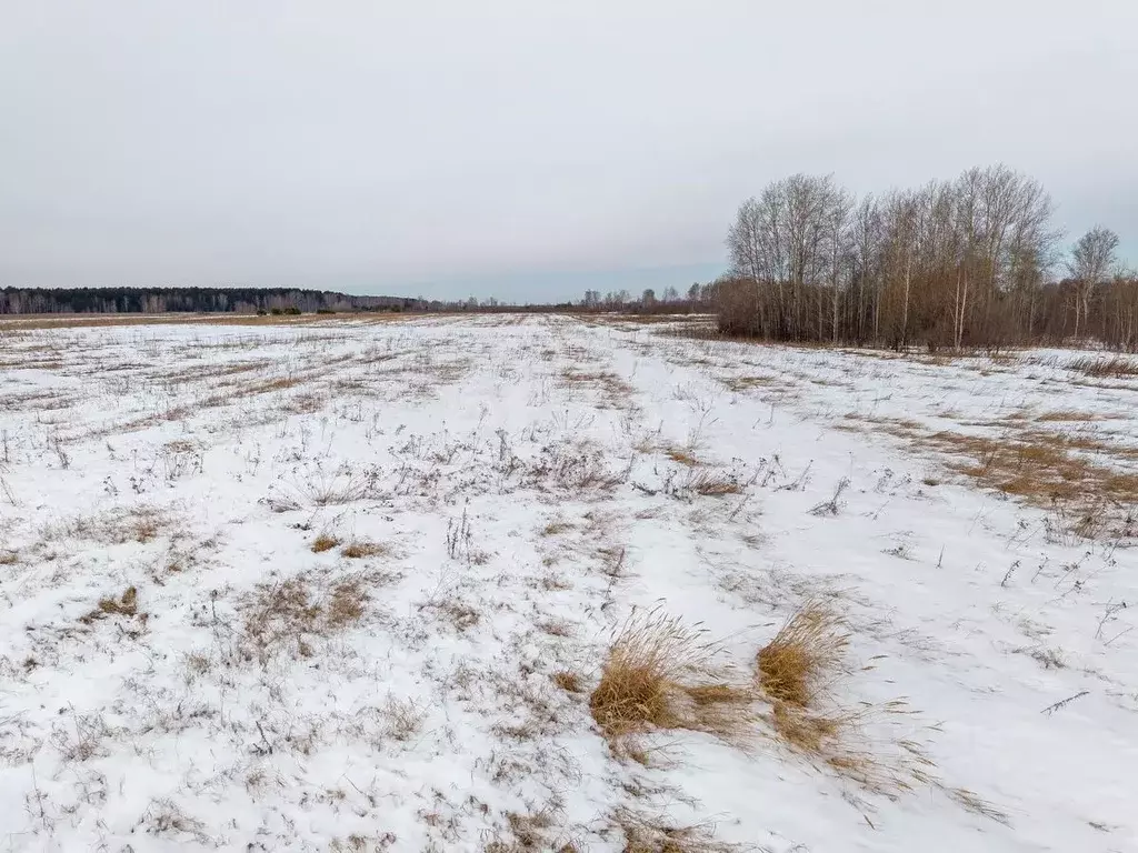 Участок в Тюменская область, Тюмень  (10.0 сот.) - Фото 1